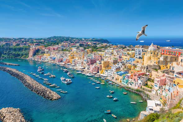 Procida Island Boat Trip